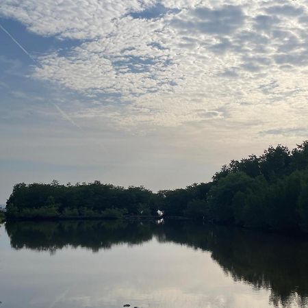 Mangrove Inn Ilhas Karimunjava Exterior foto