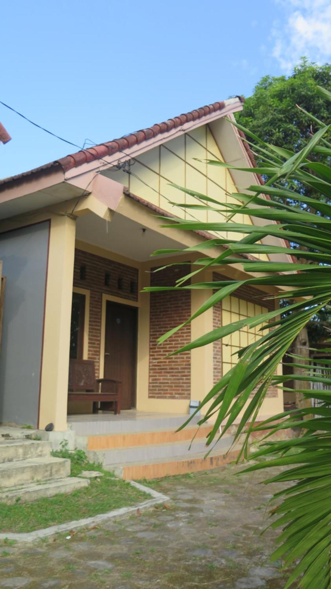 Mangrove Inn Ilhas Karimunjava Exterior foto