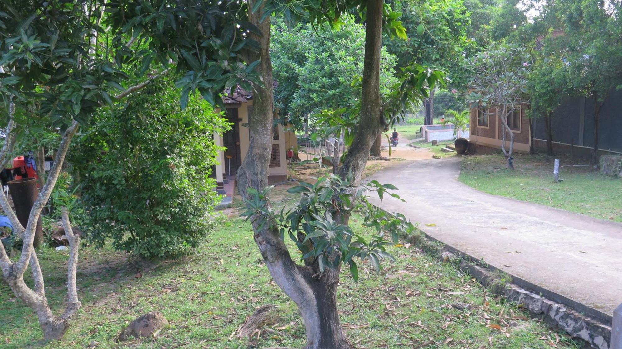 Mangrove Inn Ilhas Karimunjava Exterior foto