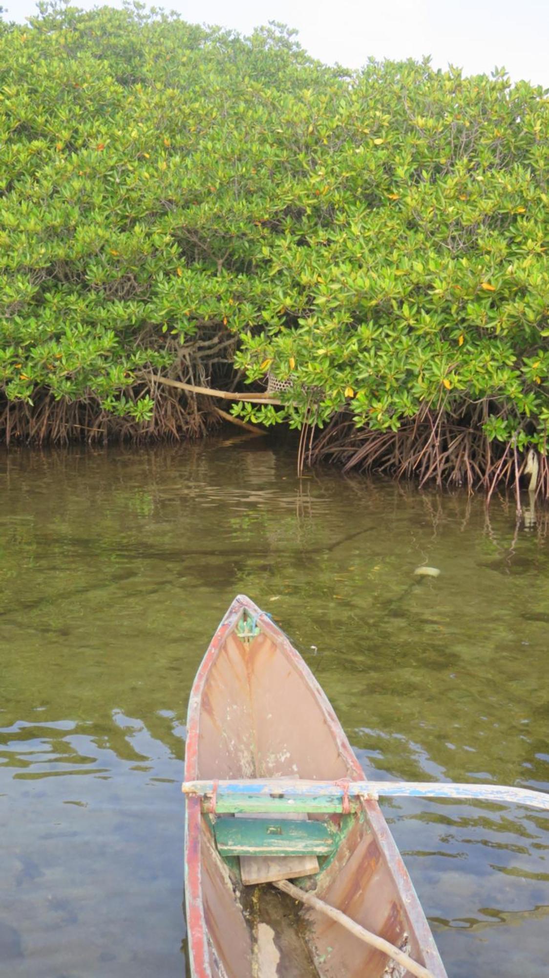 Mangrove Inn Ilhas Karimunjava Exterior foto