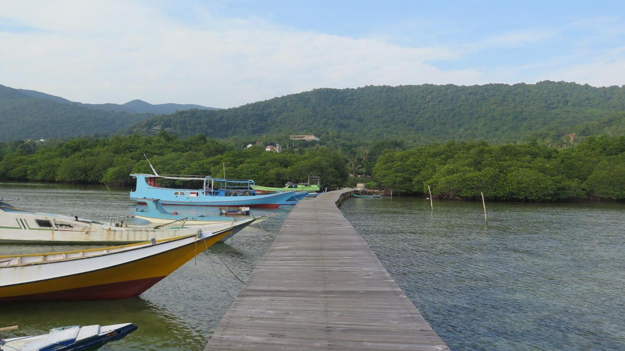 Mangrove Inn Ilhas Karimunjava Exterior foto