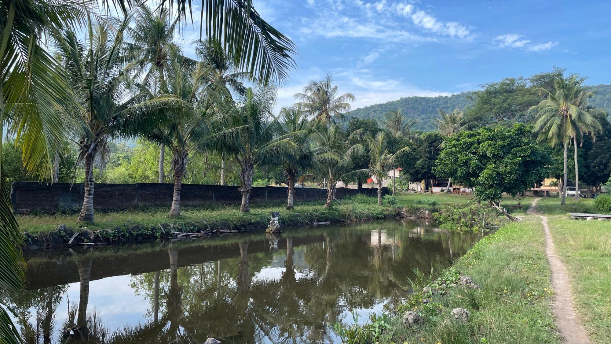 Mangrove Inn Ilhas Karimunjava Exterior foto