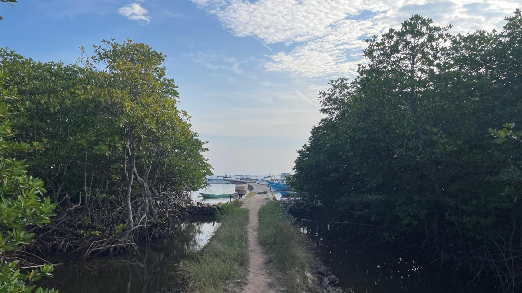 Mangrove Inn Ilhas Karimunjava Exterior foto