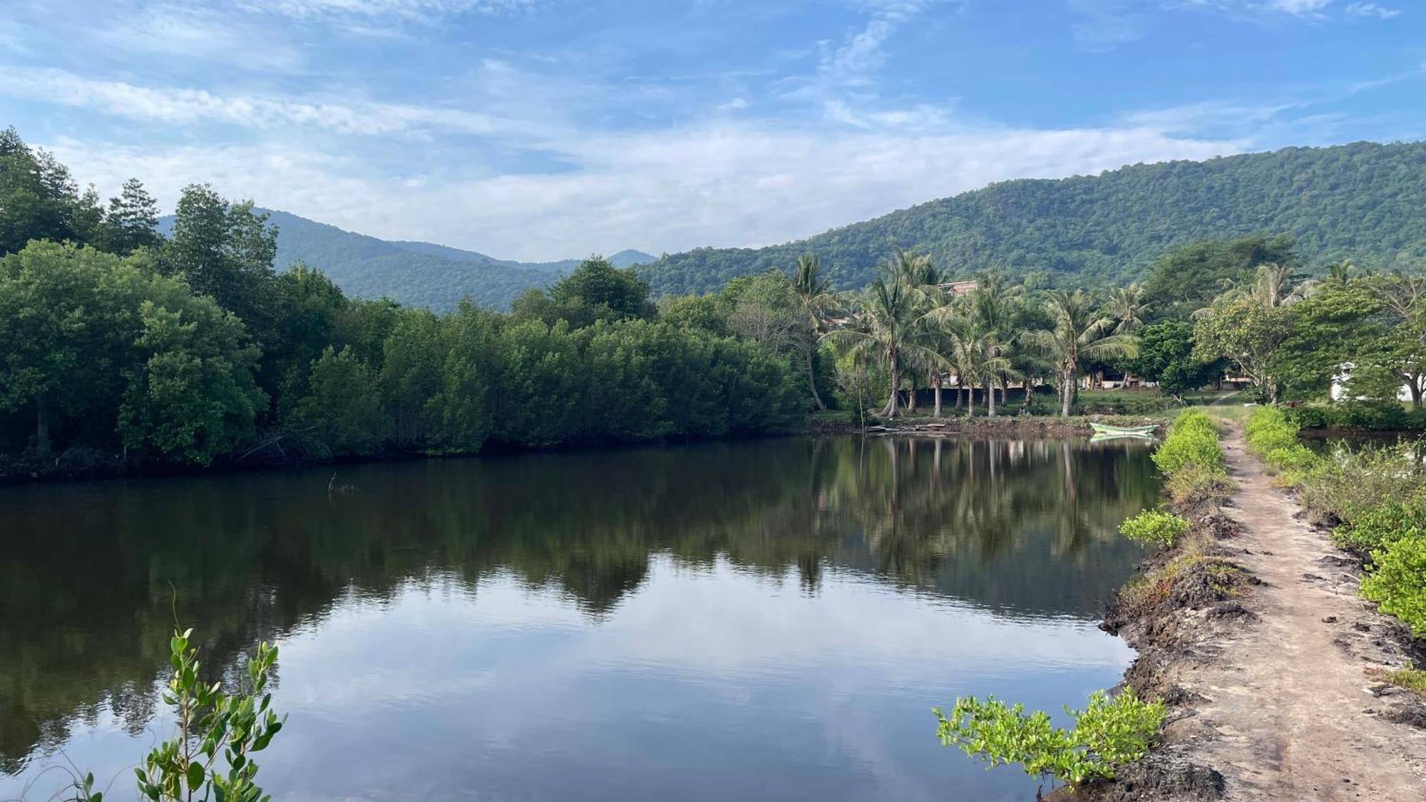 Mangrove Inn Ilhas Karimunjava Exterior foto