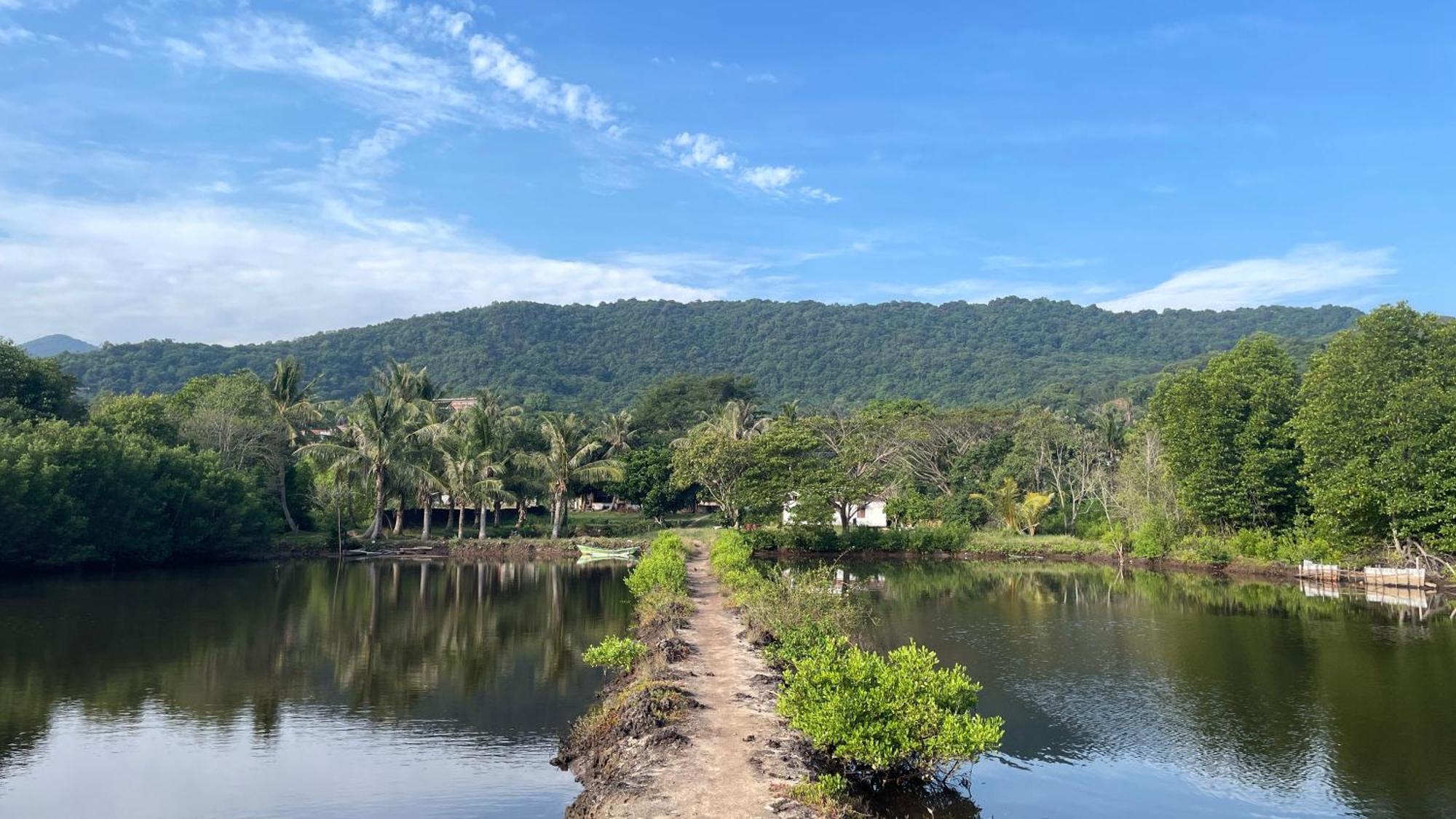 Mangrove Inn Ilhas Karimunjava Exterior foto