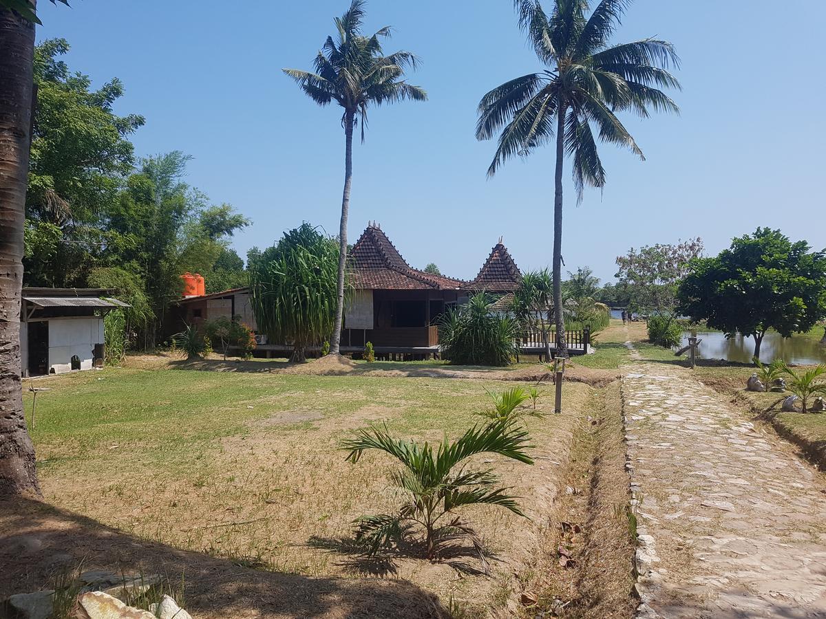Mangrove Inn Ilhas Karimunjava Exterior foto