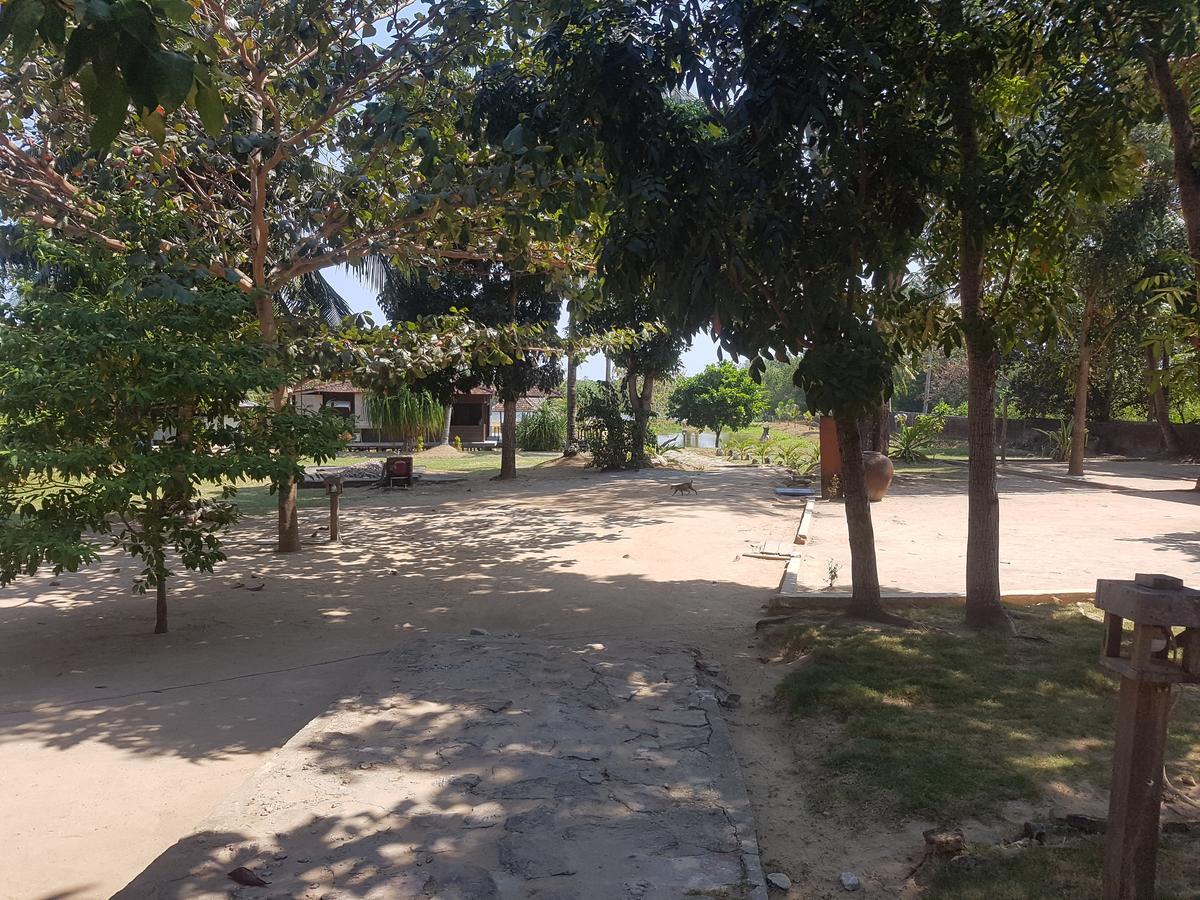 Mangrove Inn Ilhas Karimunjava Exterior foto