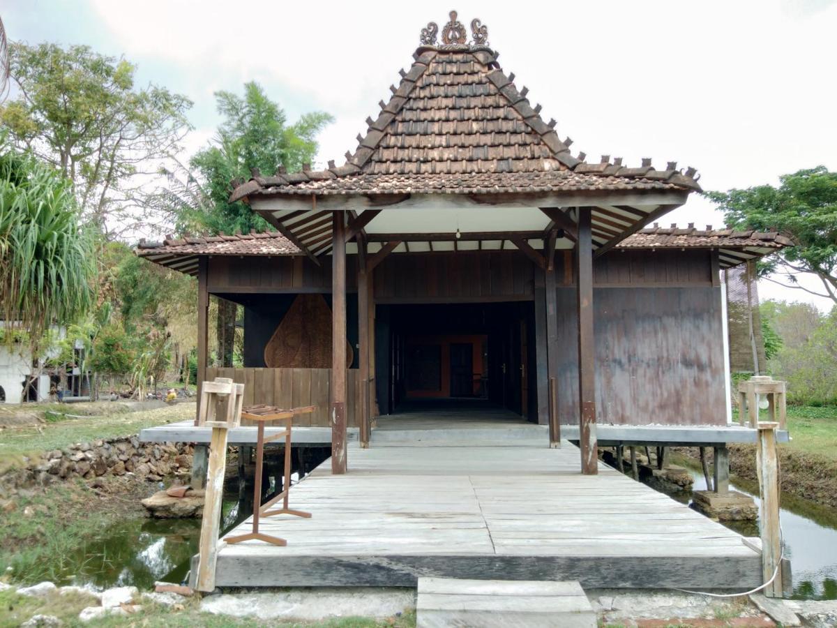 Mangrove Inn Ilhas Karimunjava Exterior foto
