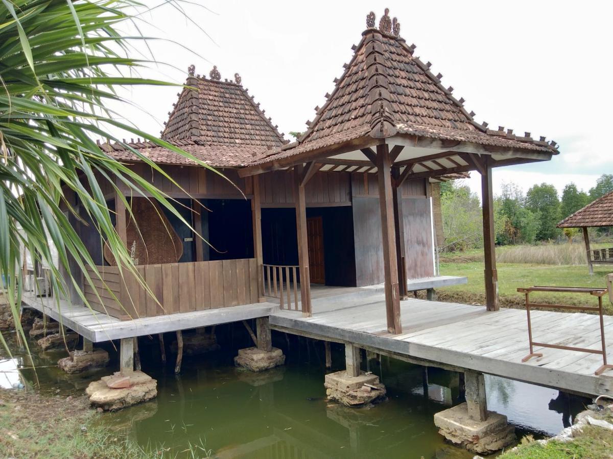 Mangrove Inn Ilhas Karimunjava Exterior foto